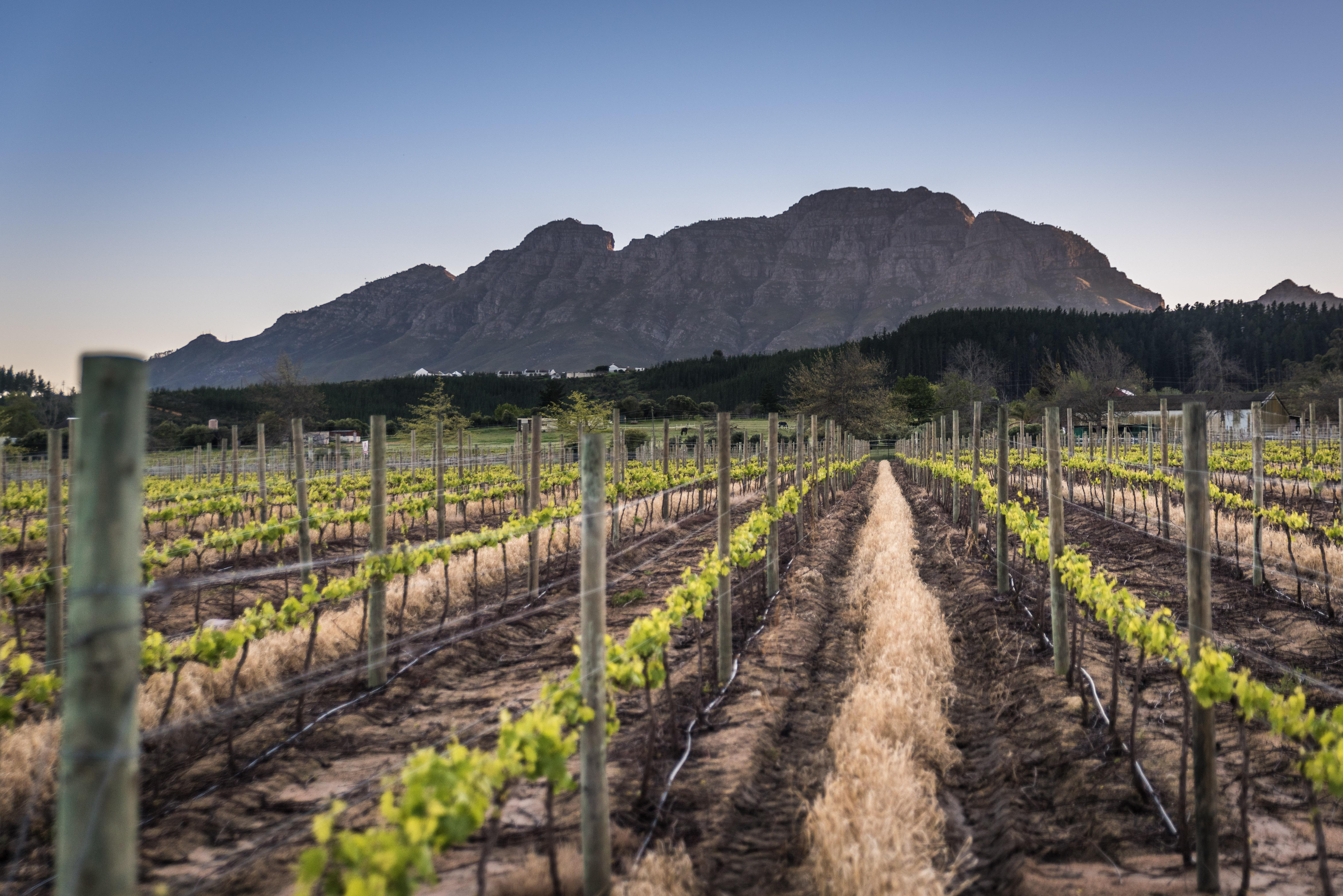 Lanzerac Hotel & Spa Stellenbosch Exterior photo